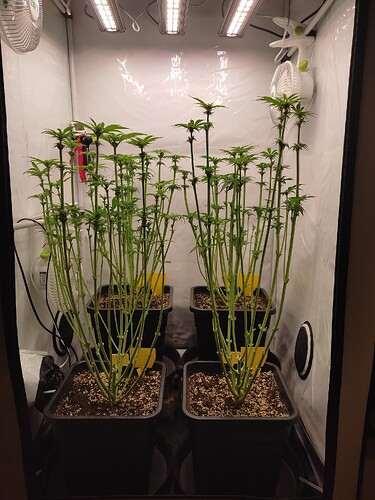 Growreport Bild 17