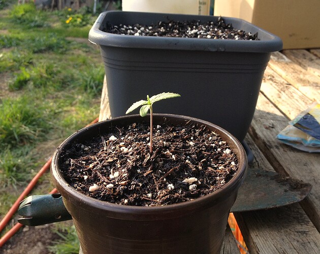 Growreport Bild 28