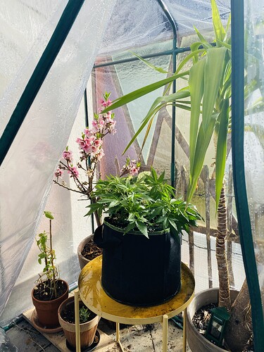 Growreport Bild 6