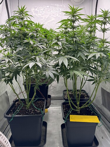 Growreport Bild 2