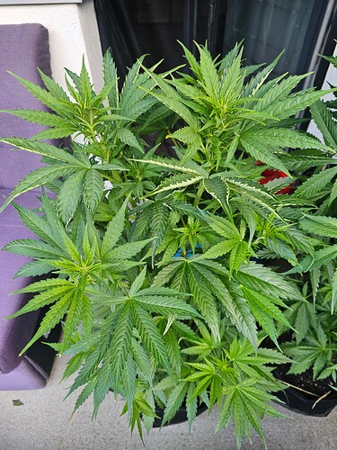 Growreport Bild 24