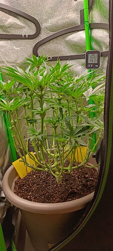 Growreport Bild 3
