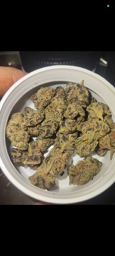 Screenshot_2024-09-17-22-13-54-462_com.whatsapp