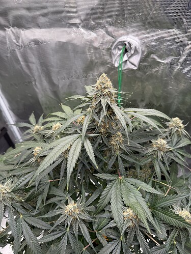 Growreport Bild 14