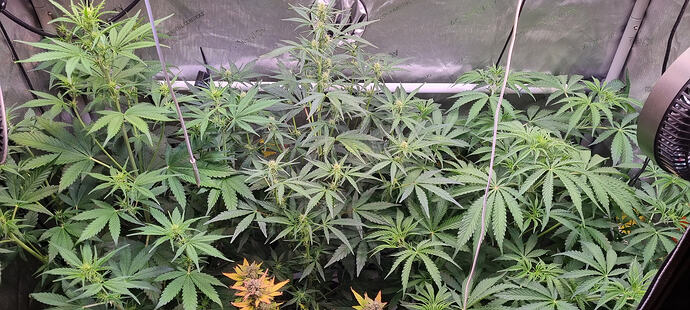 20260523_161049