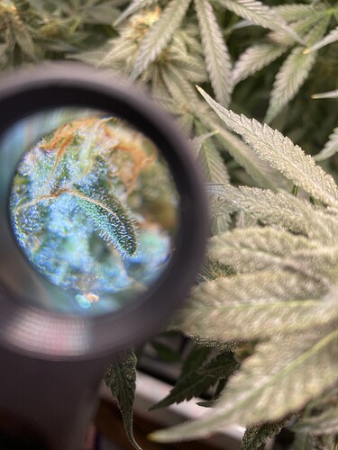 Growreport Bild 7