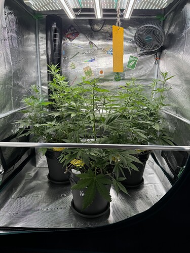 Growreport Bild 25