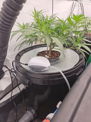 Growreport Bild 9