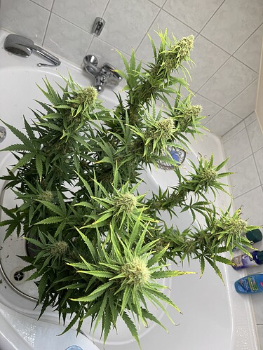 Growreport Bild 10
