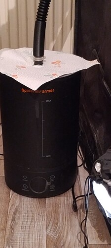 IMG_20250122_133234416