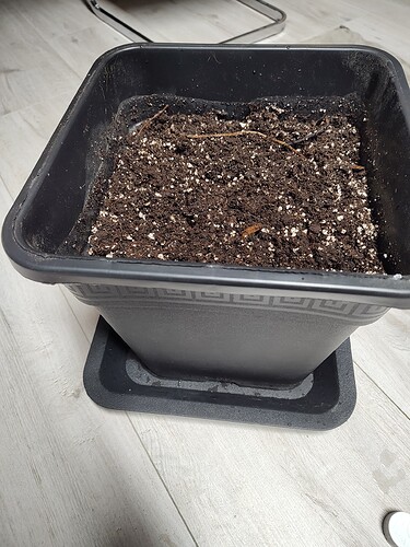 IMG_20240315_213851918