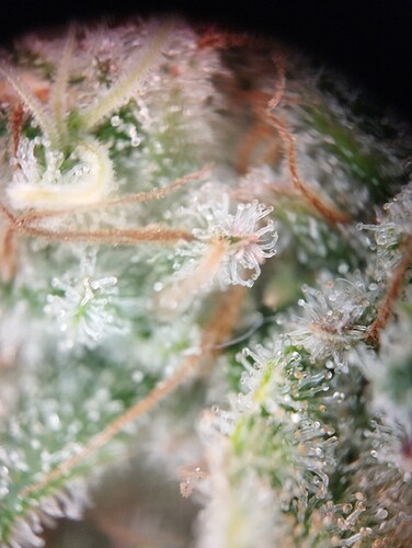 090824-P3_05 - Kopie