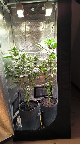 Growreport Bild 18