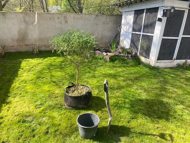 Growreport Bild 17