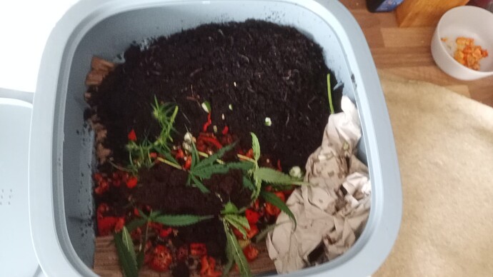 Growreport Bild 26