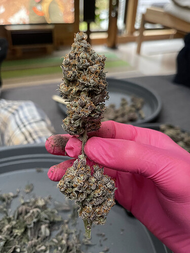 Growreport Bild 10