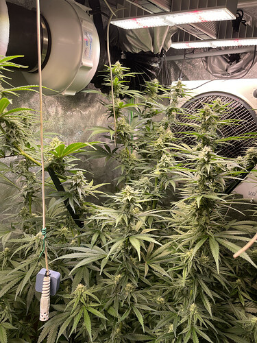 Growreport Bild 3