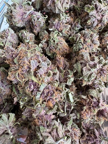 Growreport Bild 7