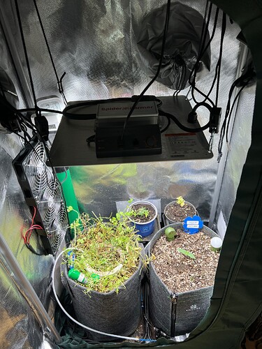 Growreport Bild 3