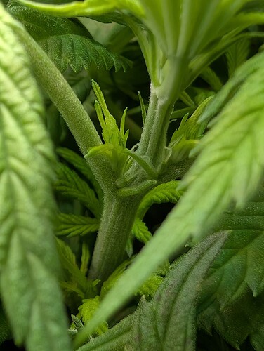 Growreport Bild 11
