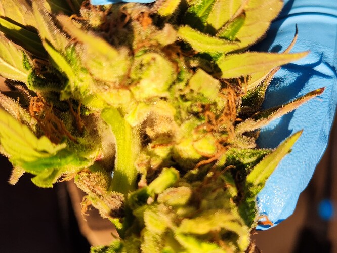 Growreport Bild 2