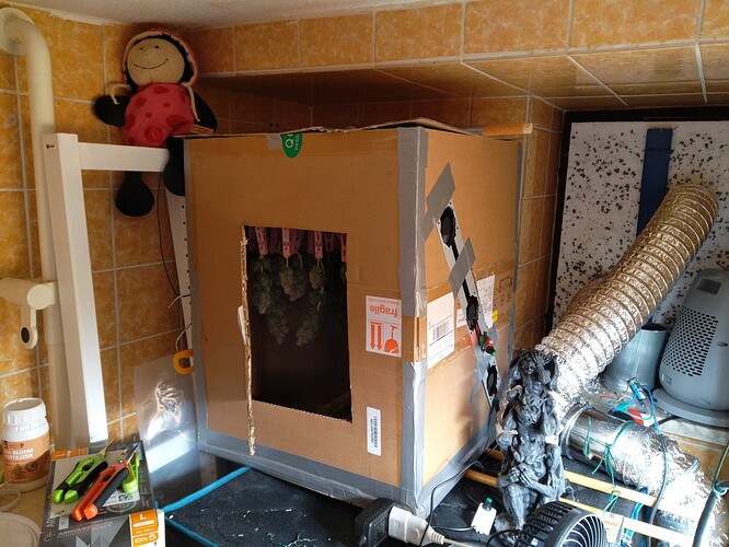Growreport Bild 6
