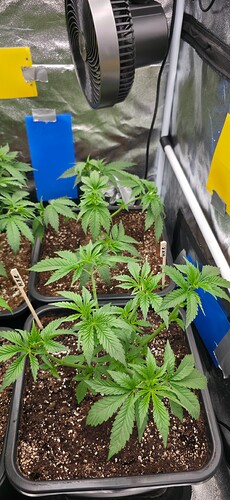 Growreport Bild 4