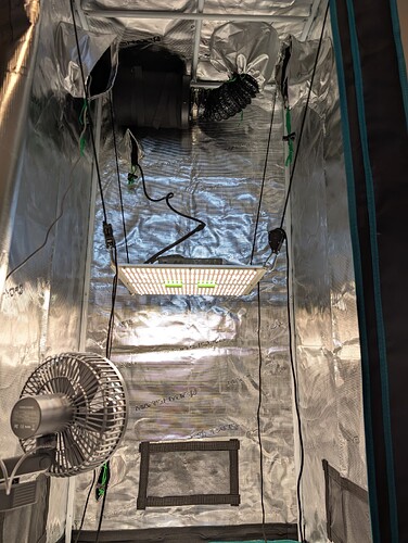 Growreport Bild 10