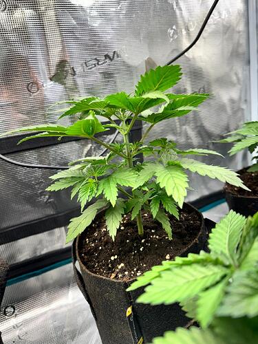 WhatsApp Image 2024-04-14 at 21.37.04