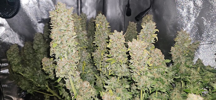 Growreport Bild 21