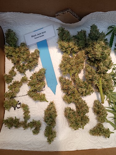 Growreport Bild 25