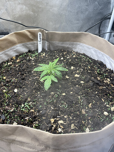 Growreport Bild 16