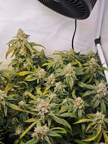 MVIMG_20251121_194514