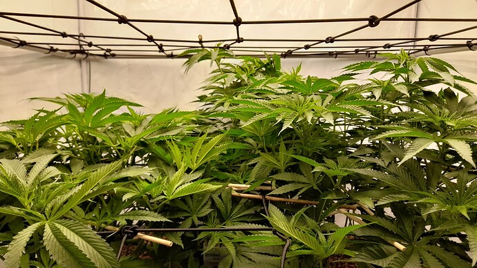 Growreport Bild 8