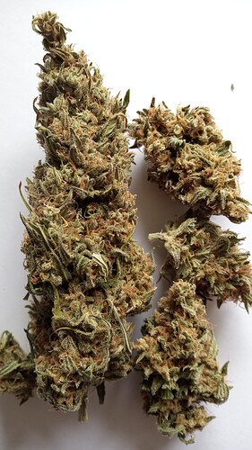 Growreport Bild 7
