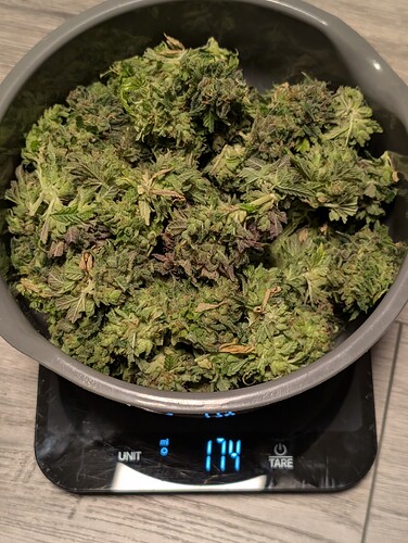 Growreport Bild 15