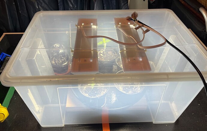 Growreport Bild 2