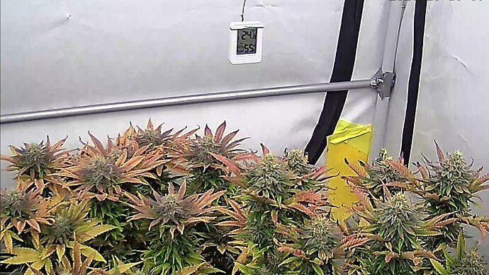 Screenshot_20241030_074146_iCam365