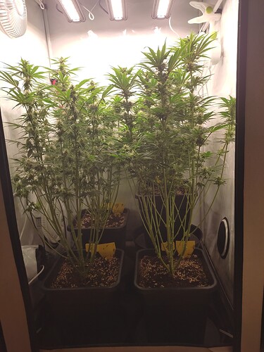 Growreport Bild 18