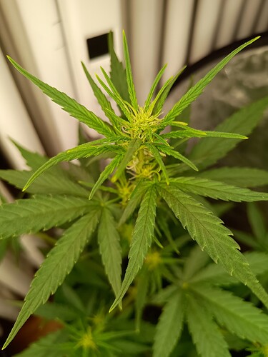 Growreport Bild 5