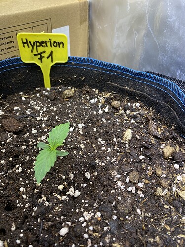 Growreport Bild 18