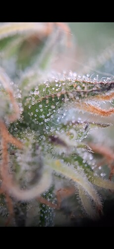 Screenshot_20240612_192819_Gallery