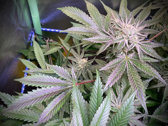 Growreport Bild 11