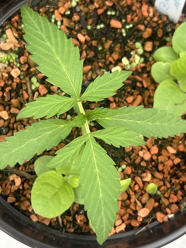 Growreport Bild 17