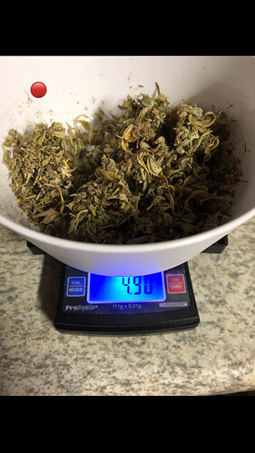 Growreport Bild 2
