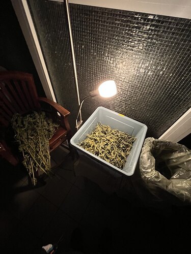 photo_2024-11-04_23-25-18