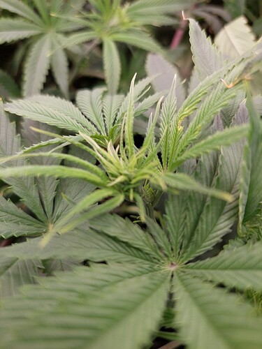 Growreport Bild 11