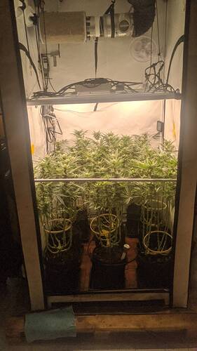 Growreport Bild 6