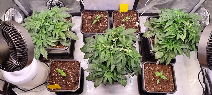 Growreport Bild 20