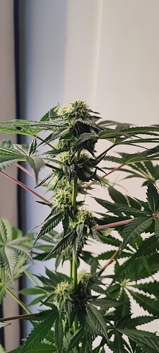 Growreport Bild 15